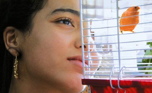 Secretofthegrainlagraineetlemulet0