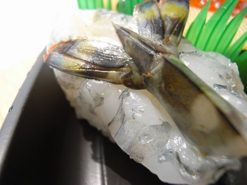 Tokyo_takashimaya_sushi_crevette