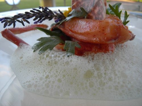 Curzay_homard_dans_sa_mousse Curzay_homard_dans_sa_mousse