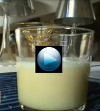 Gingembre